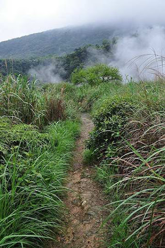 陽明山 登山道 可疑背包 藏有白骨遺骸 3A娛樂城