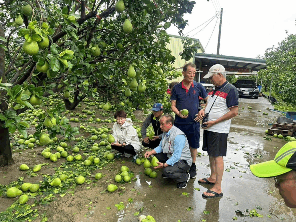 image - 3A娛樂城
